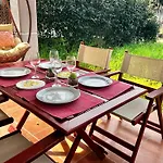 Villa Lemon Tree Nikiti (Sithonia)